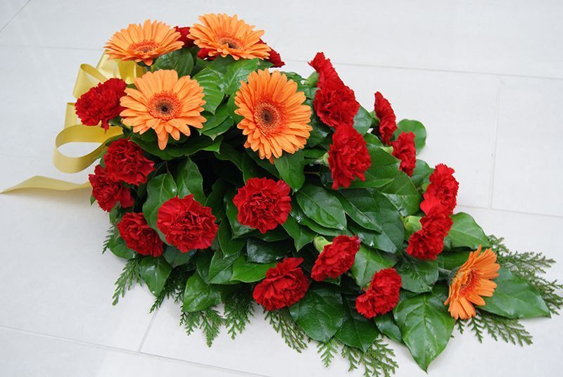 61 gerbera-neilikka