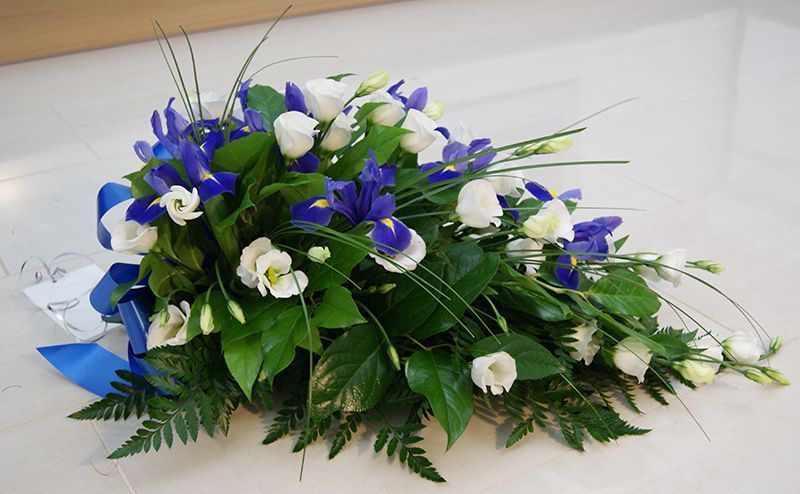 37 iiris-heinä-eustoma